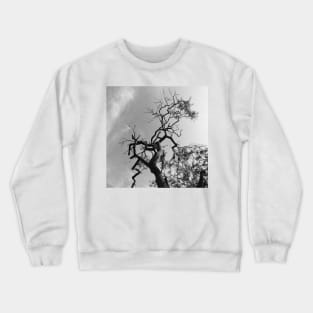 Old Spooky Bare Tree Branches Crewneck Sweatshirt